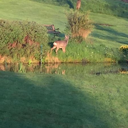 Apartment Mit Burgblick Im Gruenen, Familie Held Burgthann Εξωτερικό φωτογραφία